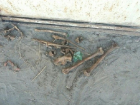 В Волгограде возле школы нашли человеческие кости