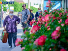 В Волгограде в Жилгородке готовятся продлить троллейбусный маршрут №15а