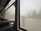 Загаженные окна транспорта назвали позором Волгограда