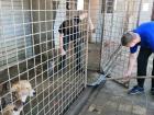 Волгоградские школьники спасали мир от равнодушия