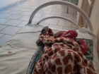 Не быть халатными попросила медиков волгоградка, проездившая с больным младенцем 10 часов по больницам