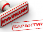 В двух районах Волгограда снят карантин по бешенству
