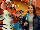 Сногсшибательное шоу «Тигры в городе» поразило волгоградцев