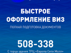 Волгоградцам предлагают сделать срочные визы 