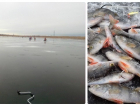 Рискуя жизнью, волгоградские рыбаки штурмуют лед в теплую погоду