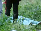 В лесу под Волгоградом найдено тело неопознанной женщины