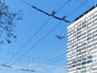 Низкий пролет самолета сняли над центром Волгограда 