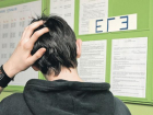 ЕГЭ по физике в Волгограде: высший балл — 98
