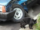 Если черный кот дорогу перейдет: «десятка» съехала в кювет и врезалась в фонарный столб на трассе в Волгоградской области
