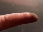 Возмущенный волгоградец показал на видео пыльные стекла в автобусе №2