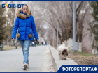 Похожи ли собаки на своих хозяев, выяснил фотограф из Волгограда