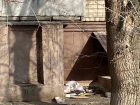 Перестать прикармливать бездомных животных требуют в Волгограде