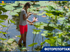 Свезенные автобусами туристы лезут прямо в воду: что творится на уникальном озере лотосов под Волгоградом