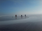 Четверо рыбаков из Краснодарского края пропали со льдины в Волгоградской области 
