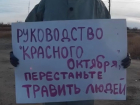 Молодежь Волгограда в костюмах химзащиты и с дымовыми шашками провела пикет против «Красного Октября»