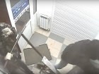 Попытка похищения неудачниками банкомата на тачке попала на видео в Волгограде