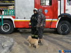 Ночью тушили пожар в спотркомплексе «Петровский» на Тулака 