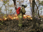 В Серафимовическом районе огнеборцы и вертолеты справились с пожаром в лесу