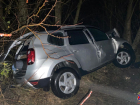 Женщина погибла в ДТП с деревом в Волгоградской области