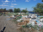 Волгоградец предложил привлечь японцев для борьбы с мусором возле ТРЦ «Акварель»