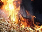 Неизвестный спалил 6 тонн сена под Волгоградом 