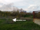 Царицынская пойма загорелась в Волгограде 