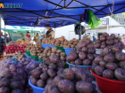 Пять важных продуктов резко подешевели в Волгограде к середине июля