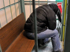 В Волгограде осудят сына экс-депутата облдумы Полицимако
