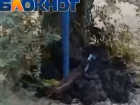 «Удобрили зловонными  черными сгустками и бросили одежду»: волгоградцы пожаловались на работу «Концессий» 