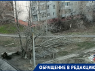 «Чудом никого не прибило»: гигантский тополь рухнул во дворе на севере Волгограда 