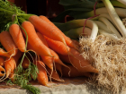 Цены на морковь в Волгограде за полгода выросли на 57 рублей 