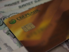 Волжская банда кредитных мошенников обчистила банк на 135 миллионов рублей