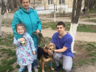 Впервые вместо усыпления в Волгограде чипировали бездомную собаку