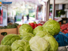В Волгоградской области изъяли более 30 килограммов гнилых овощей