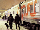 ﻿Питерского путешественника с гашишем сняли с поезда в Волгограде