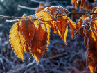 До -7 градусов мороза ожидается днем в воскресенье в Волгоградской области
