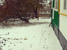С началом зимы: первый снег выпал в Волгоградской области