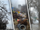 Крысы на мусорке, веткой в глаз и опасная школьная дорога: обзор Волгограда