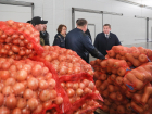 Накормим борщом всех: в Волгоградской области разрабатывают программу развития семеноводства