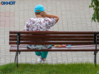 Сезон мошкары начался в Волгограде