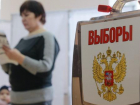 С выборов сняли еще двух кандидатов в депутаты Волгоградской гордумы
