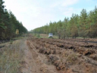 Леса Волгограда защищают от пожаров патрулированием