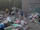 Тропу сквозь горы мусорного завала проложили волгоградцы — шок-видео 