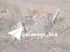 Извержение канализации у многоэтажек в Волгограде сняли на видео 