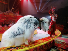 Волгоградцам впервые покажут уникальное шоу Гии Эрадзе «Королевский цирк»