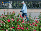 Коронавирус унес уже 79 жизней, 10 668 зараженных в Волгоградской области на 16 августа