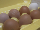 Три яйца, изменившие мир: волгоградские куры стали нестись чаще