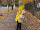 Четвероклассница сбежала из Волгограда после нападок одноклассников