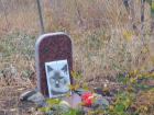 На въезде в Волгоград горожане устроили кладбище домашних животных