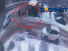 Свора собак набросилась на мужчину в Волгограде: нападение засняла камера